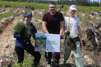 10 тысяч елей высажено для восстановления пострадавшего от короеда леса в Подмосковье