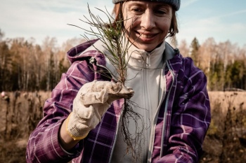 Глоток чистого воздуха для планеты: РусКлиматФонд и SYNERGETIC посадили 50 тысяч сосен на месте погибшего леса в Нижегородской области