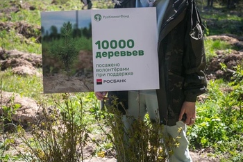 РусКлиматФонд и Росбанк высадили 10 тысяч деревьев в Подмосковье