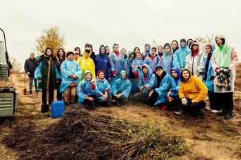 В Волгоградской области посадили 2 тысячи вязов